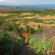 紅葉に包まれて登る幸せ