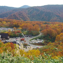 酸ヶ湯温泉駐車場の近くの紅葉はすごい