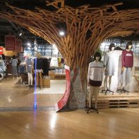 ワークショップ