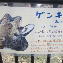 ゲンキ君の解説はこちらで。