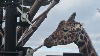 給餌器にも要注目！