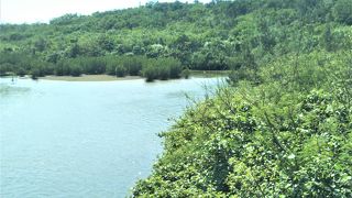 整備されてます。