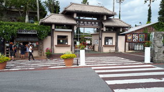 琉球村とは違うもう一つの沖縄、花と水と植物のテーマパーク