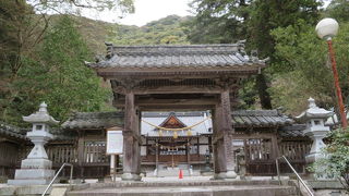 「ひめ」と読みます