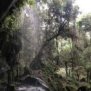 裏見ケ滝／八丈島