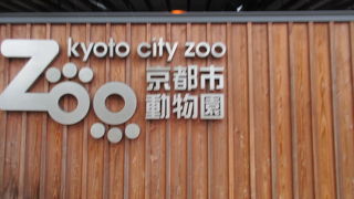 お手軽で動物を