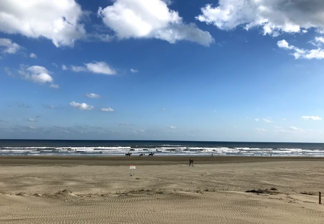 本須賀海水浴場 クチコミ アクセス 営業時間 九十九里 フォートラベル
