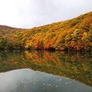 紅葉が美しい蔦沼を散策