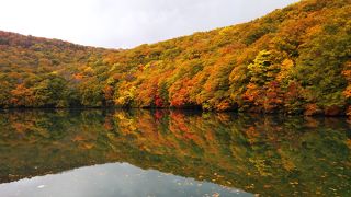 紅葉が美しい蔦沼を散策