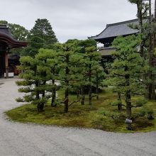 白書院前の庭園です