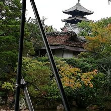 改修中の宸殿から五重塔を借景とした庭園が垣間見えました