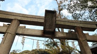 石川台駅に来たら是非立ち寄ってみて！