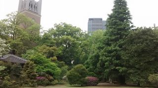 広い芝生のエリア、池やせせらぎ