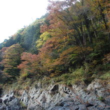 鳩ノ巣渓谷の紅葉