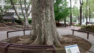 落ち着いた雰囲気の小さな公園