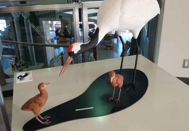 霧多布湿原センター クチコミ アクセス 営業時間 厚岸 霧多布 フォートラベル 霧多布湿原センター クチコミ アクセス 営業時間 厚岸 霧多布 フォートラベル