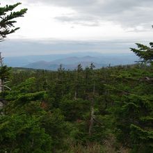 山頂からの展望