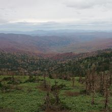 レストハウスの下からの展望