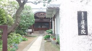 境内のたくさんの木々が素晴らしく、落ち着いた感じでした。