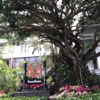 ホテル入口です。