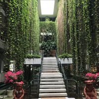 吹き抜けの階段下は熱帯魚がいます