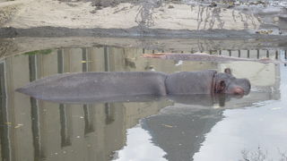 悲しみを乗り越えて・・・。