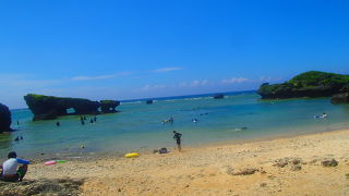 たくさんお魚が観れました！