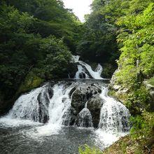 中野白滝