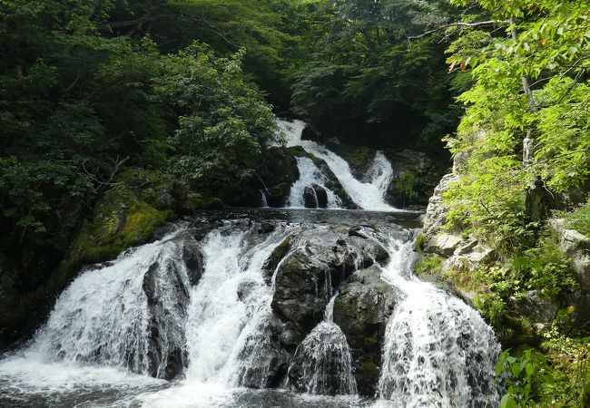 中野白滝