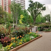 バラ園とハーブ園が特におすすめ By Bobby Brazil 四季の香公園のクチコミ フォートラベル