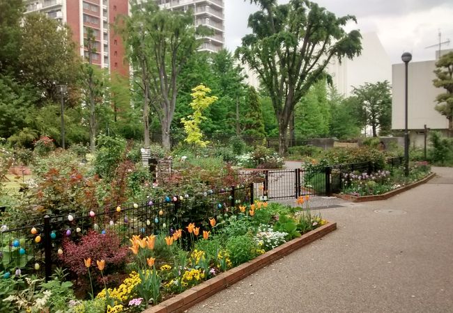 四季の香公園 クチコミ アクセス 営業時間 練馬 フォートラベル