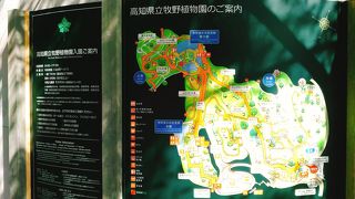 (牧野植物園)　牧野富三郎の偉業称えるために造られました