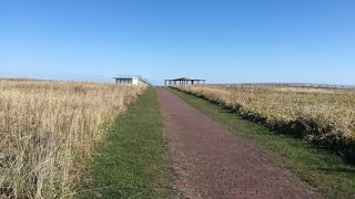 岬の手前の展望台