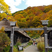 湯治場だった（今も？）んですね