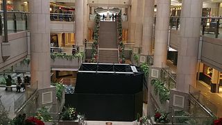 クリスマスツリーはもう少し後で ☆*★*☆*★*☆♪