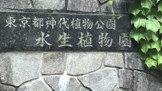 ただただ広いです。