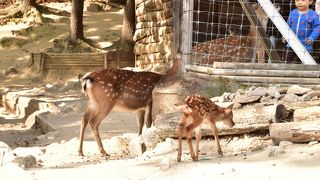 北ソウル夢の森