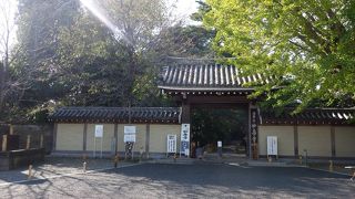 見応えある客殿