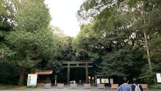 けっこうな広さ