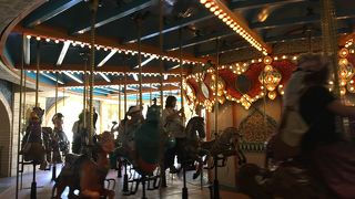 ジーニーに乗りたい