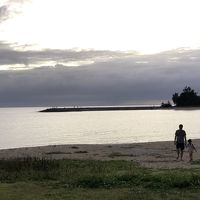 すぐ近くの21世紀の森公園