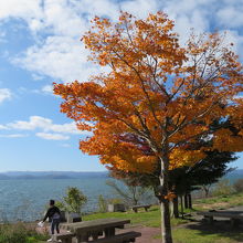 上戸浜湖水浴場