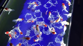 広くはないけど、展示が充実していた