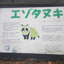 旧総合動物舎内に彼が見られたのは、何か事情があるのかな？