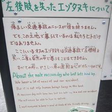 北海道産動物舎内にはこんな子も…。