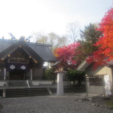 秋の本殿、紅葉とのコラボ風景が楽しめます