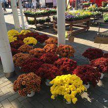 屋外でも　売れる物は何でも売る（みたいな？）