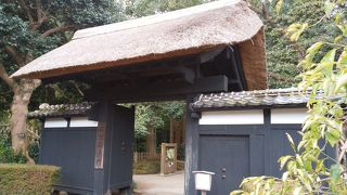 梅の季節だけでない！孟宗竹林の静寂が良いです。