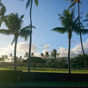 ワイアラエ カントリー クラブ クチコミ・アクセス・営業時間