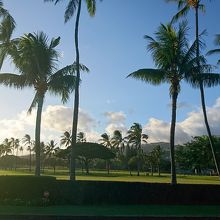 やまとさま　J. Lindeberg ×ワイアラエカントリークラブ やまとさま J. Lindeberg ×ワイアラエカントリークラブ sony